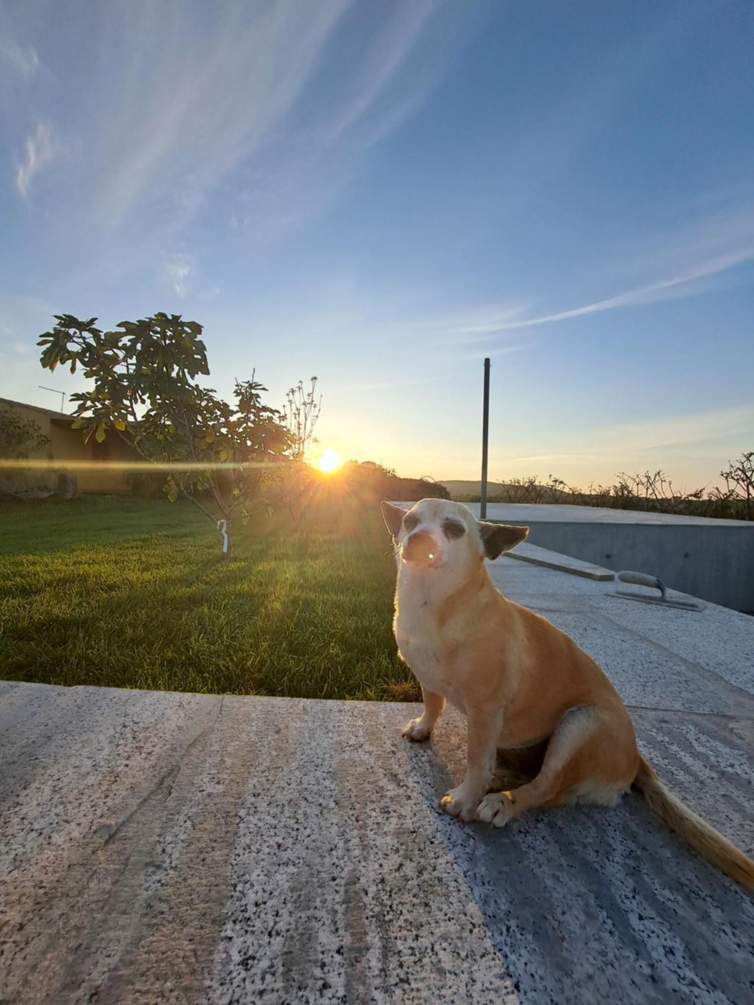 Agriturismo Lu Nodu Greuli Exteriér fotografie