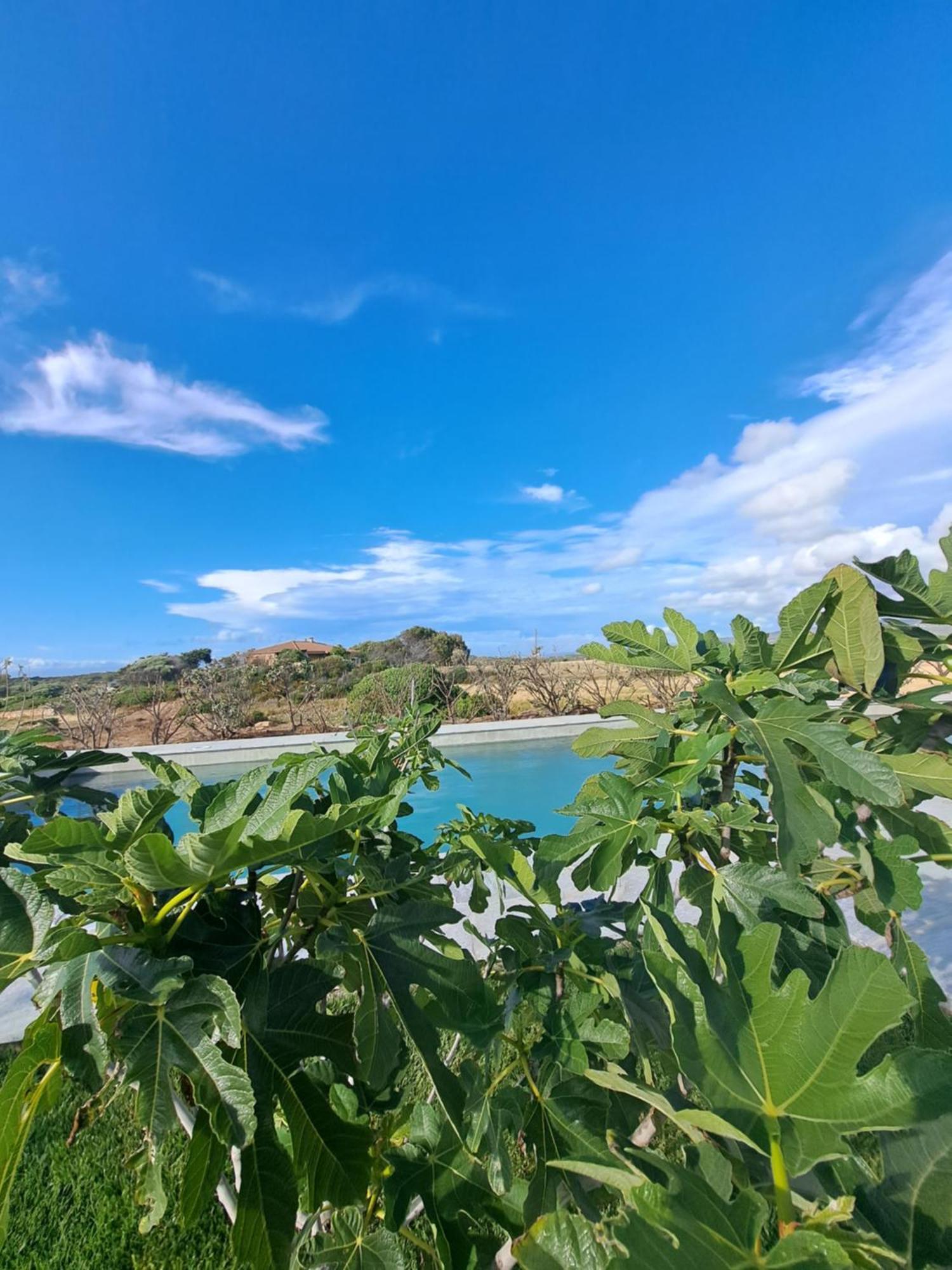 Agriturismo Lu Nodu Greuli Exteriér fotografie