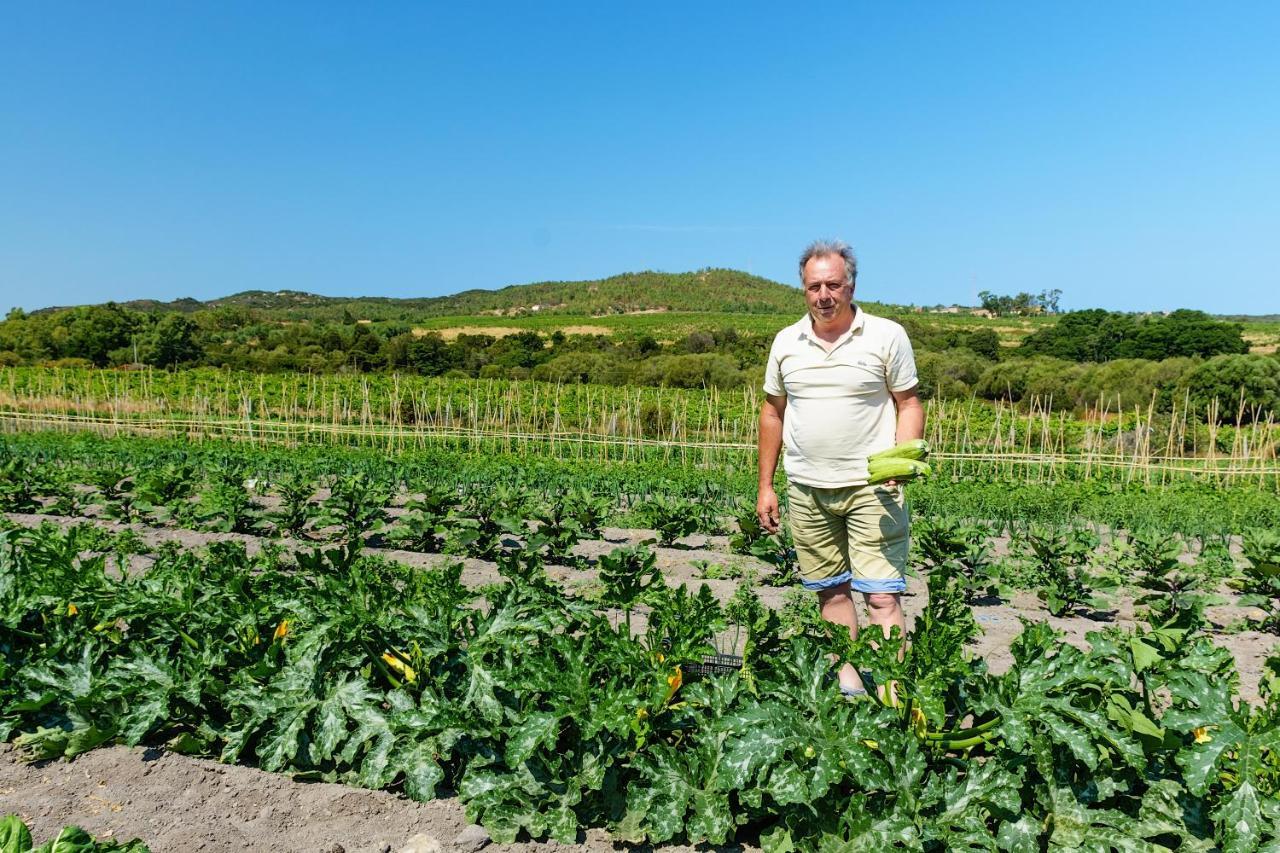 Agriturismo Lu Nodu Greuli Exteriér fotografie